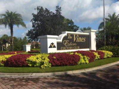 The Vines CA
